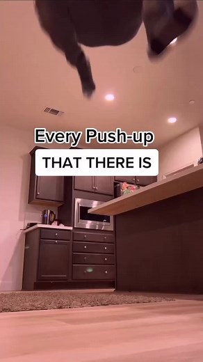 875K views · 53K reactions | #Repost FitfrHome When it comes to calisthenics - pushups are THE movement you should master. There are hundreds of variations that can test you in ways you never thought possible. For beginners and advanced athletes! Here are just a handful of them  #pushup #calisthenics #pushups #homeworkout #calistenia | All About Fitness | Facebook