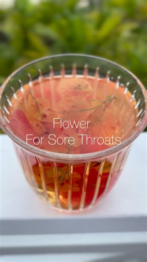 La Vie Tea | French-Inspired Wellness on Instagram: "This Flower Is Used for Sore Throats. Bougainvillea tea is traditionally used for sore throats and throat irritation. The flowers are gently soothing and help calm that raw, scratchy feeling that can come from talking too much, dry air, or frequent coughing. Brewed warm, it helps soften and coat the throat without drying it out. A simple, gentle tea for moments when your throat feels worn down. Always use food-safe, pesticide-free bougainville