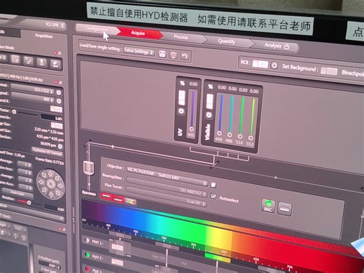 激光共聚焦显微镜使用
