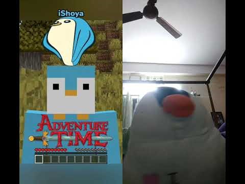 Bro was scared by job application