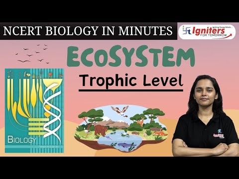 Trophic Level | Ecosystem | NCERT Biology in Minutes | Class 12 & NEET