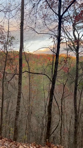 147 reactions · 11 comments | Ride back at Holly Creek had to stop and enjoy the view, that sun setting around the corner was beautiful. | Scott Kuhn | Facebook