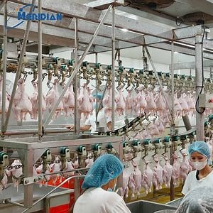 [Hot Item] Poultry Abattoir Plant Processing Poultry Machinery Line Mobile Chicken Meat Slaughter House Equipment