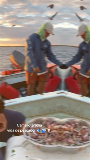 La vida de pescador no es fácil!!! Pero es tener el privilegio de comer rico y fresco!! El Camello Jr. 🐫 Camelloterapia ❤️ | El Camello Jr.
