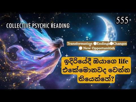 ✨මේ video එක ලැබෙන ඔයා ඉක්මනින් ම ජීවිතේ වෙනසකට මුහුණ දෙනව✨Changes coming|Psychic Tarot Reading🧿💜