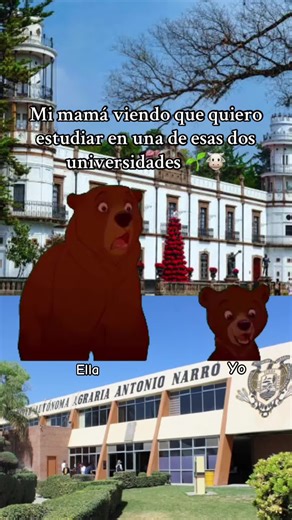 Estudiar en Chapingo: Oportunidades y Experiencias