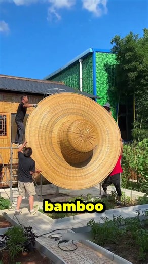 Thailand’s Amazing Bamboo Restaurants! 🌿🍽️#bamboo, #innovation, #restaurant, #shorts