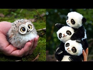 Cute baby animals Videos Compilation cute moment of the animals - Cutest Animals #11
