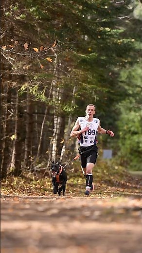 Canicross at the 2025 IFSS World Championships 🔥