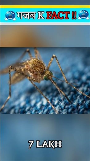 Kya aap jante hai #animal fact video #animal fact short video viral