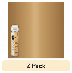 (2 pack) COLORSHOT Premium Multi-Surface Metallic First Million Spray Paint - 9 oz - Gold