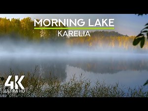 4K Calming Morning Lake Ambience in Karelia | Birdsong & Gentle Lake Waves for Stress Relief