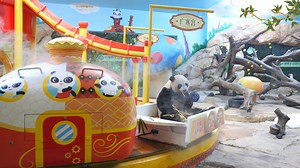 129K views · 878 reactions | Chimelong Safari Park and Wild World Jinan make the fabulous preparation for the Mid-Autumn Festival. Let’s take a look together. (Meng Meng, Shuai Shuai, Ku Ku, Er Xi & Ya Shuang) #MidAutumnFestival #chineseculture For more panda information, please check out: https://en.ipanda.com | iPanda | Facebook