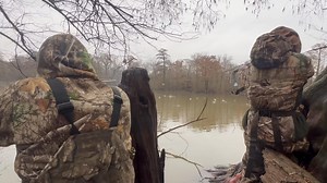 34K views · 2K reactions | We are having a debate in our household. Three ducks were killed but Houston and I both claim to have shot 2. The math isn’t adding up! What do y’all say? | Arms Family Homestead | Facebook