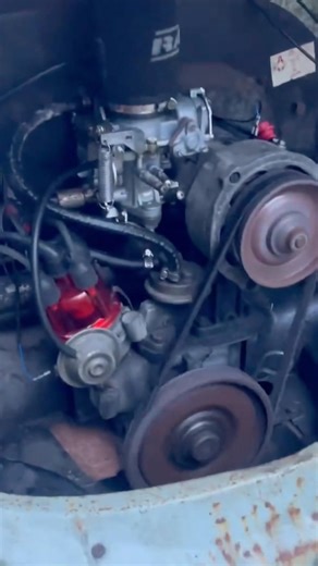 Cold start of the 1966 VW Beetle. #automobile #volkswagen #vw #vwbeetle #vwbug #classicvolkswagen