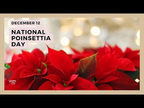 NATIONAL POINSETTIA DAY - December 12