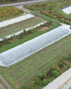 In this week's episode of Digging Deeper, I explain why caterpillar tunnels have a pivotal role at the farm and the know-how to assemble them. If you want to apply my method to anchor the plastic on a caterpillar tunnel, watch the episode! 👉 https://youtu.be/0DnFGOb6hGU 🥦🥦🥦 Dans l'épisode de cette semaine de la série Youtube Digging Deeper, je vous explique pourquoi les tunnels chenilles ont un rôle central sur la ferme et comment procéder à l'assemblage. Si vous voulez appliquer ma méthode 
