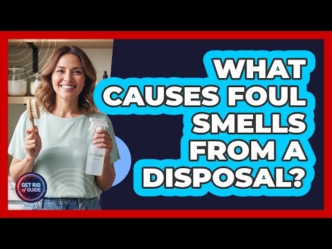 What Causes Foul Smells From A Disposal?
