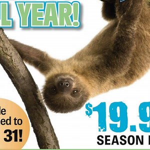 7.3K views · 13 reactions | ZooWorld Panama City Beach on Reels | Facebook