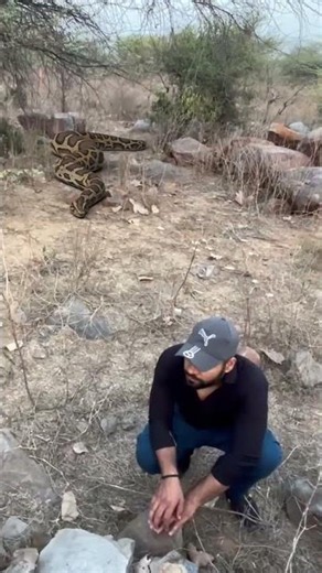 Anaconda Snake Attack Vlogger In Jungle P8 #shorts #anaconda #snake #python #snakevideo