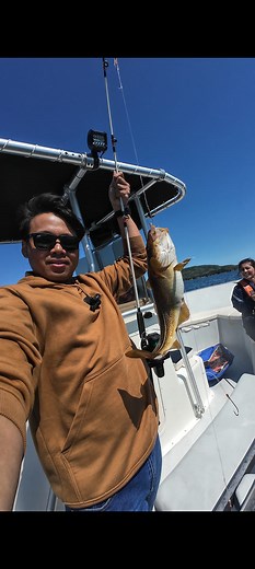 Fishing mackerels/cod fish around Harbour Breton bay, Newfoundland and Labrador. #fypシ゚viralシ #travel #canada #fishing #facebookviral #trendingreelsvideo #nocopyrightinfringementintended #pinoyabroad | Lee Malcolm Berame