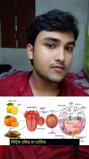 Koi Bhi Phal Khatta Kyun Lagta Hai?, Talk with Prince Ep. 21 #princekumarix #shortfeed #sciencefacts