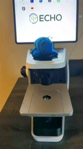 The Fascinating Science Behind Nature & Everyday Life