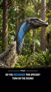 By studying the sounds of modern animals, we can attempt to recreate the voices of extinct species. In the case of dinosaurs, vocalizations of certain reptiles and birds provide a solid scientific foundation for these reconstructions. #Dinosaurs #Science #paleontology | Primeval Planet
