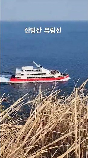 제주도 산방산 유람선 #유람선 #제주도유람선 #산방산유람선