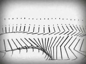 An Introduction to Futurism | Art History II