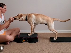 Tuck Sit-Kick Back Stand: Beginner