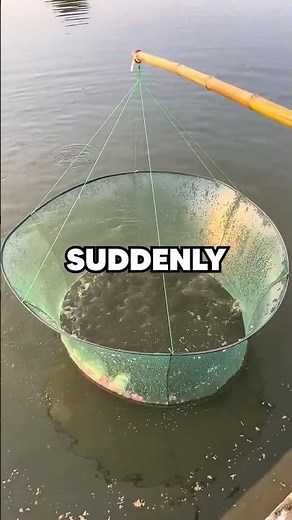 The Most OVERPOWERED Fishing Method! 🎣