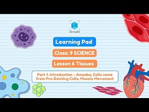 Biology Grade 9 | Tissues Introduction Part 1: Amoeba, Cell Theory & Muscle Movement | 3D Learning