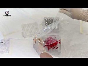 How to Use a Capsule Filler Machine - Easy DIY Capsules at Home!