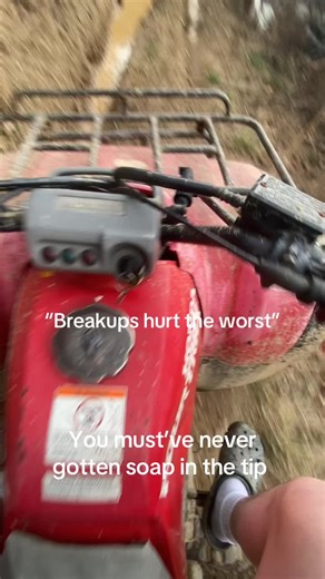 Honda TRX300FW FourTrax 4x4 Overview: Power and Reliability