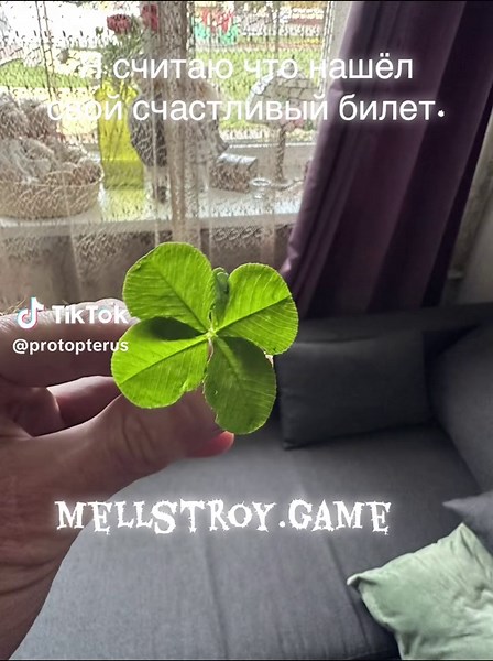 Discovering My Lucky Ticket in Mellstroy Game