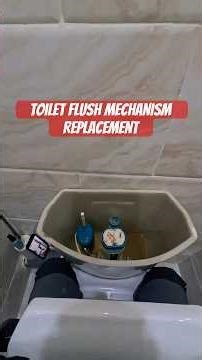 Toilet Flush Mechanism Replacement