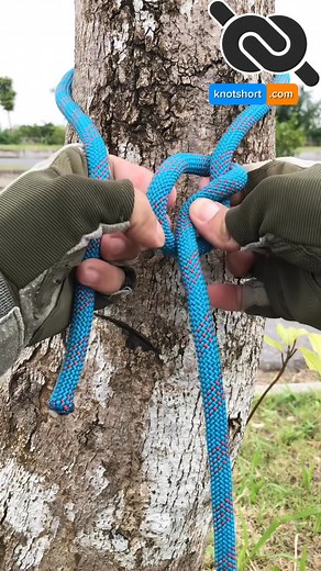 146K views · 1.2K reactions | Bowline Knot Basics – Learn It Instantly! #knotshort | KNOT SHORT | Facebook