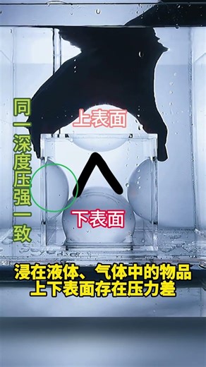 Understand how buoyancy is generated in 15 seconds Popular Science Physics Experiment