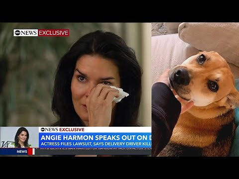 Angie Harmon Tearfully Speaks Out After Driver Shoots Dog