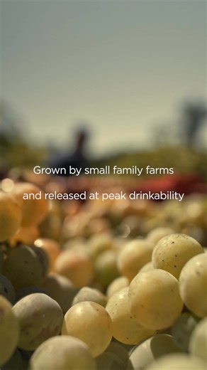 We invite you to enjoy the highest wine standards on the planet. These bottles have been verified for excellence in taste and quality – including analysis by an independent lab to ensure they are sugar free and low alcohol. This is our promise. Our collection features wines from trusted terroirs and classic profiles — bold reds from Bordeaux, floral Pinots from Burgundy, crisp French Sauvignon Blancs, and more. Each one has been verified for excellence by our rigorous protocol. That means they a