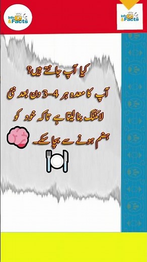 How Your Stomach Actually DIGESTS Food (Animation)