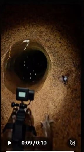 Toad POV: Inside a Secret Underground Tunnel 😱🐸You’ve Never Seen a Toad Like This 🤯 (Real POV)