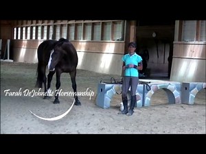 FDHorsemanship: Bridling exercise