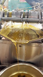 68K views · 421 reactions | Pre-factory debugging of Type 100 hot press #oilpressmachine #oilpress | Oilpress machine | Facebook