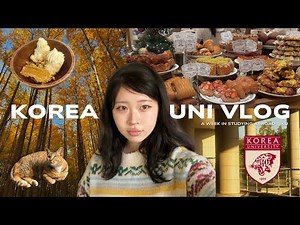 Korea University Study Abroad Vlog 🐯📚