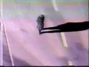 Cobra Commander in a Transformer episode.