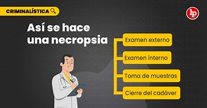 [VIDEO] ¿Cómo hacer correctamente una necropsia? | LP