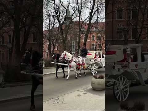 Beautiful Krakow✨A City of Kings and Timeless Heritage 🇵🇱🏰 #krakow #travel #wonderfulcity #polska