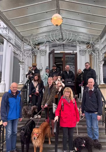 Enjoying a Sunday Morning Dog Walk